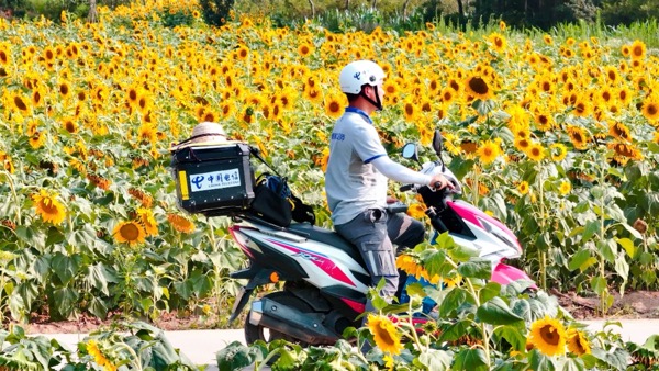 ������(�й�)��վ-AG�콢��