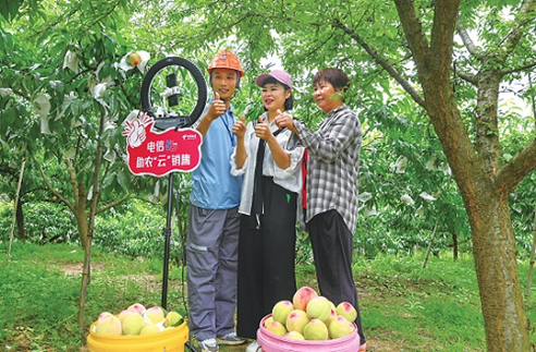 ������(�й�)��վ-AG�콢��