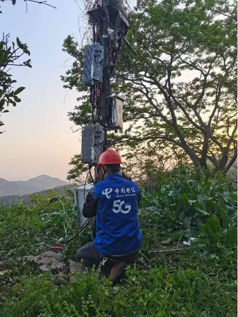 ������(�й�)��վ-AG�콢��