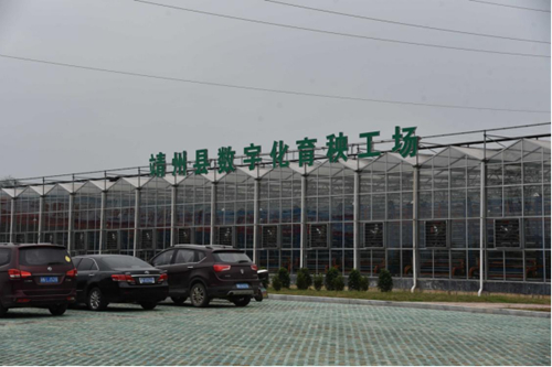 ������(�й�)��վ-AG�콢��