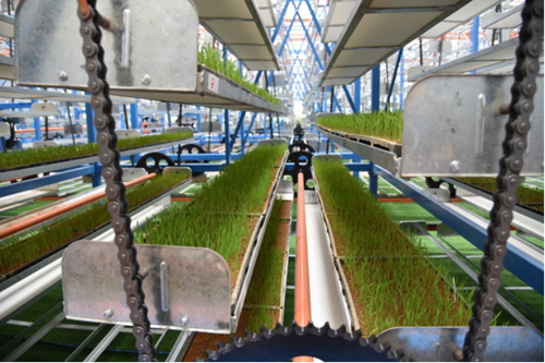 ������(�й�)��վ-AG�콢��