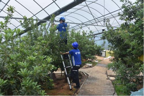 ������(�й�)��վ-AG�콢��