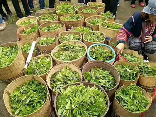 ������(�й�)��վ-AG�콢��