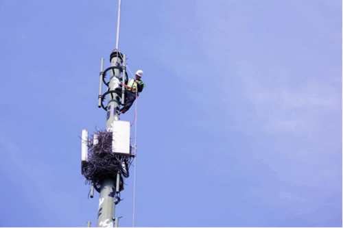 ������(�й�)��վ-AG�콢��