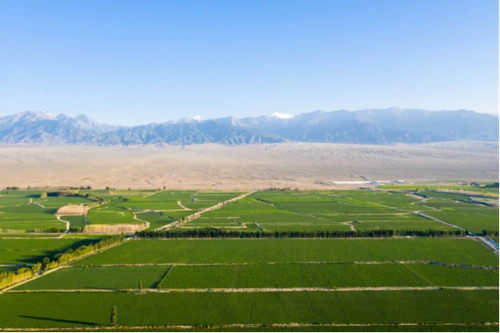 ������(�й�)��վ-AG�콢��