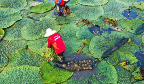 ������(�й�)��վ-AG�콢��