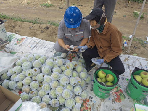 ������(�й�)��վ-AG�콢��