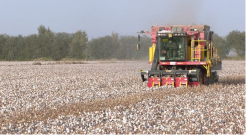 ������(�й�)��վ-AG�콢��