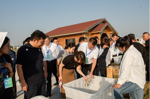 ������(�й�)��վ-AG�콢��