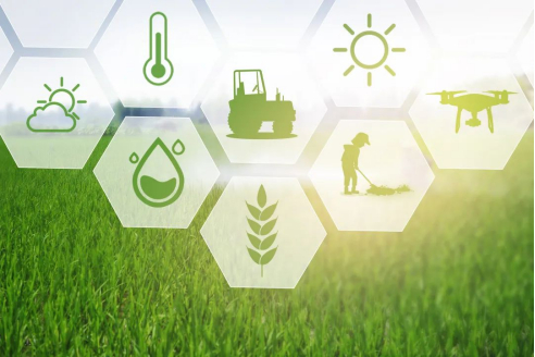 ������(�й�)��վ-AG�콢��