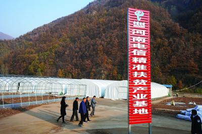 ������(�й�)��վ-AG�콢��