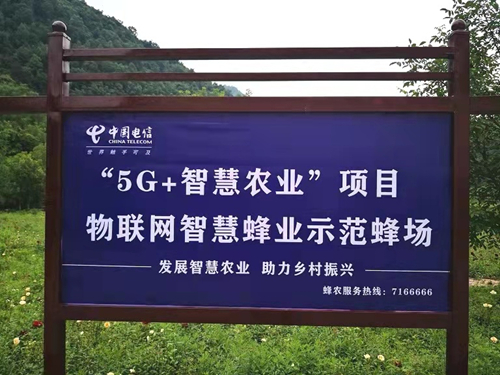 ������(�й�)��վ-AG�콢��