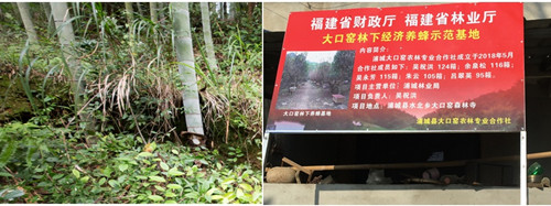 凯发·(中国)网站-AG旗舰厅