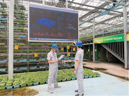 ������(�й�)��վ-AG�콢��