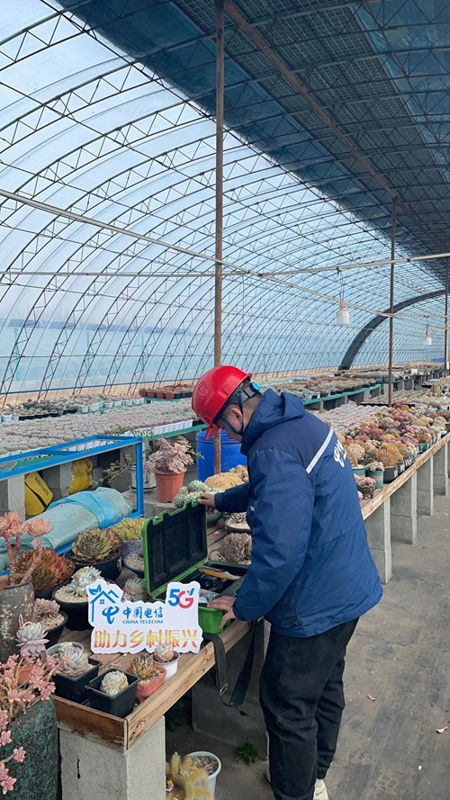 ������(�й�)��վ-AG�콢��