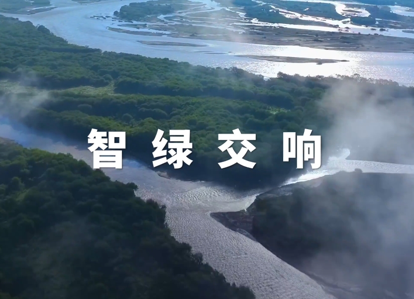 ��ɫ������������������������̬���δ��