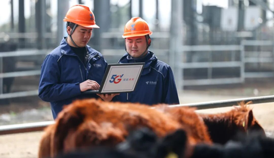 AI���ϡ��Ƽ��ܼҡ�������������������ţ���ţ��